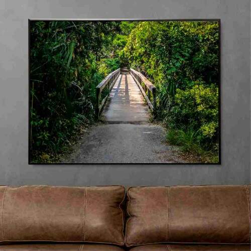 Quadro Passarela Para Floresta