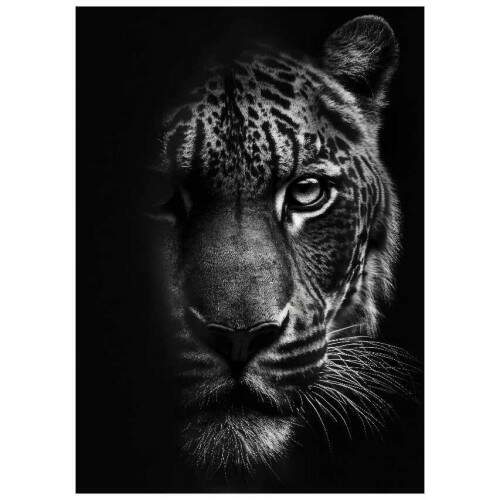 Quadro Tigre de Bengala em Tons de Cinza