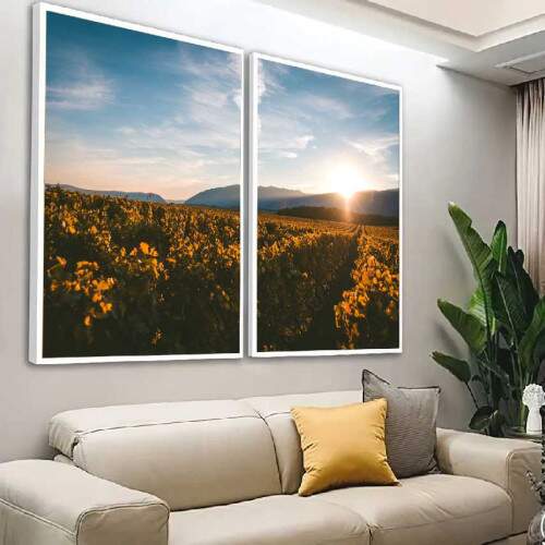 Quadro Campo de Uvas ao Entardecer