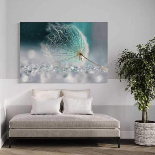 Quadro Dente de leo e Gotas de Orvalho