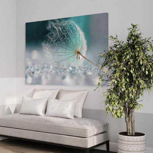 Quadro Dente de leo e Gotas de Orvalho