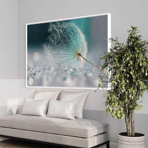Quadro Dente de leo e Gotas de Orvalho