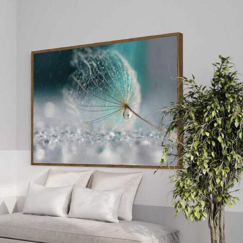 Quadro Dente de leo e Gotas de Orvalho