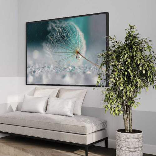 Quadro Dente de leo e Gotas de Orvalho
