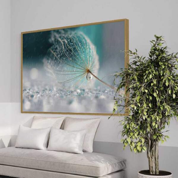 Quadro Dente de leo e Gotas de Orvalho