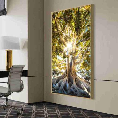 Quadro Razes Majestosas rvore Centenria com Raios de Sol