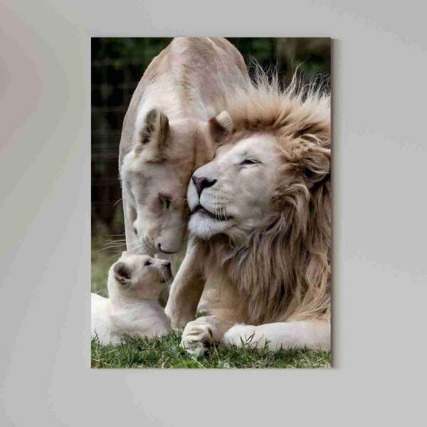 Quadro Leo Casal Pelo Claro com um Filhote