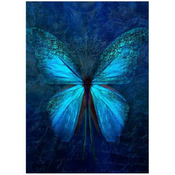 Quadro Borboleta Azul Majestosa