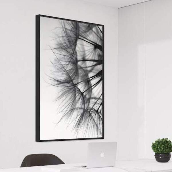 Quadro Dente de leo Delicadeza em Preto e Branco