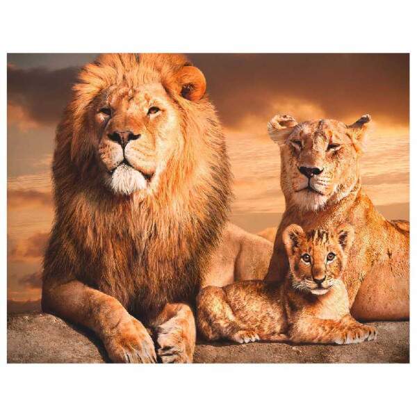 Quadro Leo Familia Amanhecer com um Filhote