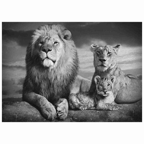 Quadro Leo familia decorativo Preto e Branco Com um filhote