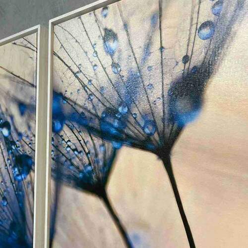 Quadro Decorativo Dente de Leo com Gotas de Orvalho - Elegncia Natural