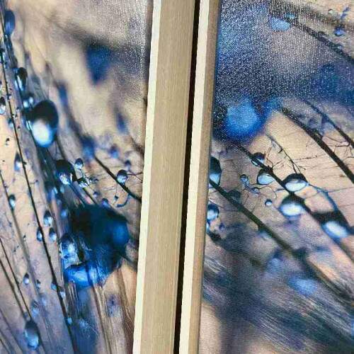 Quadro Decorativo Dente de Leo com Gotas de Orvalho - Elegncia Natural