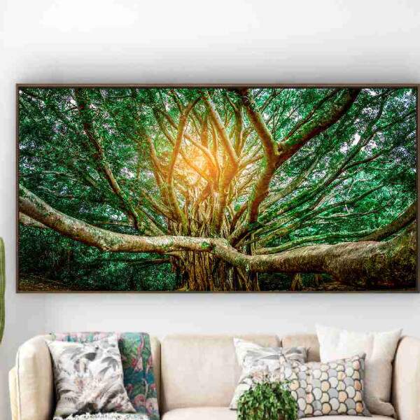 Quadro rvore Banyan com Raios de Sol Natureza e Vida