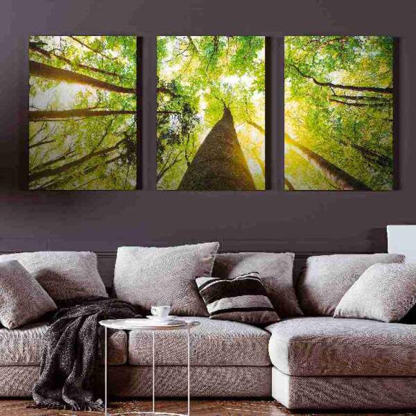 Quadro rvores em Folhagem Verde e Raios de Sol