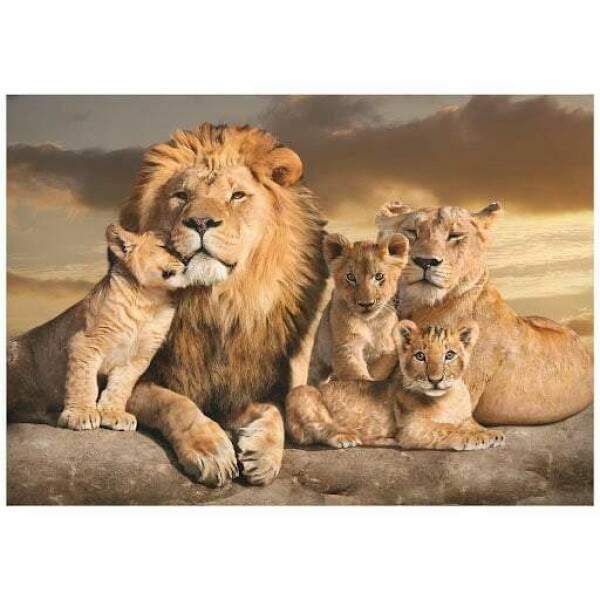 naoエルセーヌサプリ3個数セットNO.700S Quadro Familia Leoes Tres Filhotes - Quadros Mais - Onde Comprar