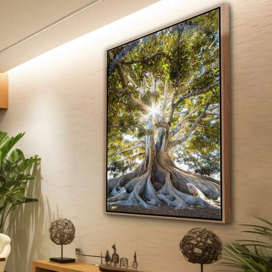 Quadro rvore com Razes Expostas 01