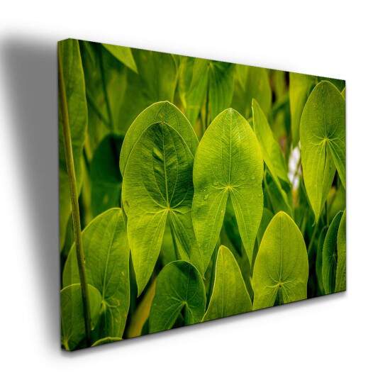 Quadro Folhas Tropicais Verdes para Decorao Natural
