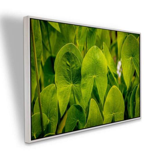 Quadro Folhas Tropicais Verdes para Decorao Natural