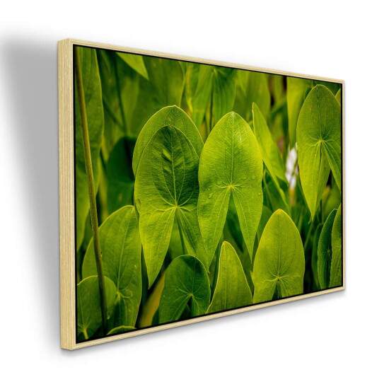 Quadro Folhas Tropicais Verdes para Decorao Natural