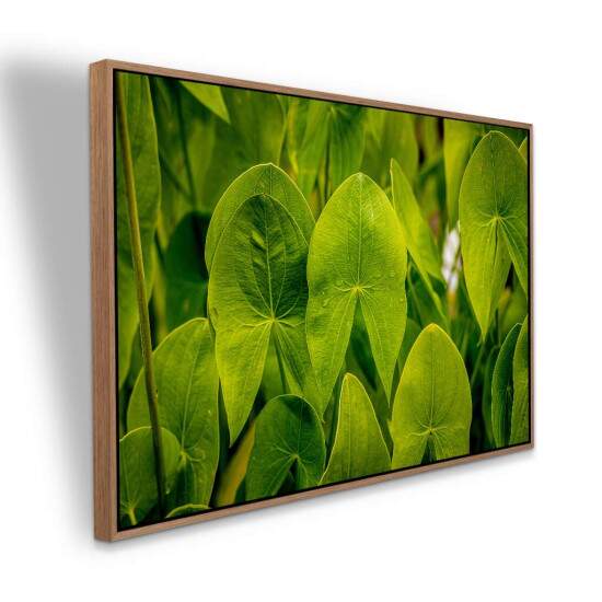 Quadro Folhas Tropicais Verdes para Decorao Natural