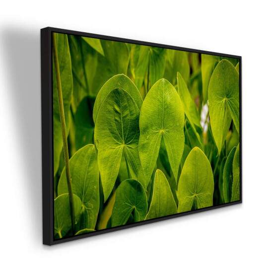 Quadro Folhas Tropicais Verdes para Decorao Natural
