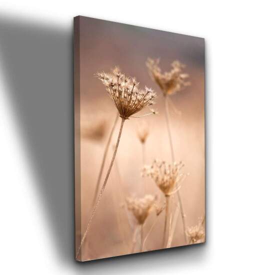 Quadro Flor Campestre Elegncia Natural para Decorao Clean