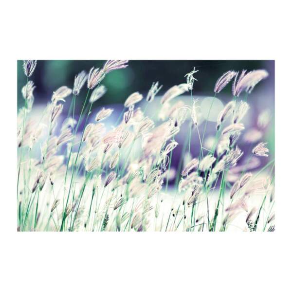 Flores III por Chan