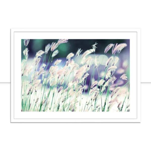 Flores III por Chan