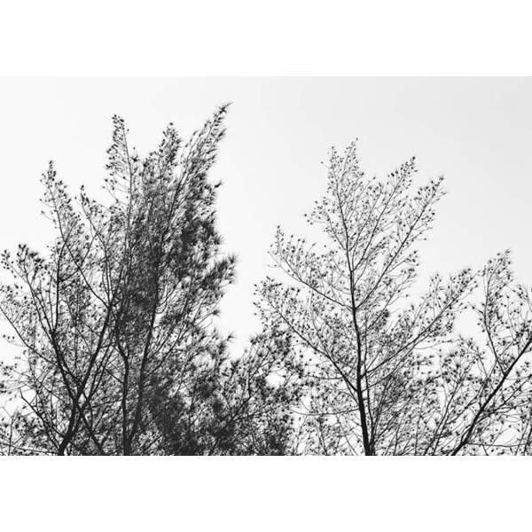 Quadro Winter por Gaby Sabel
