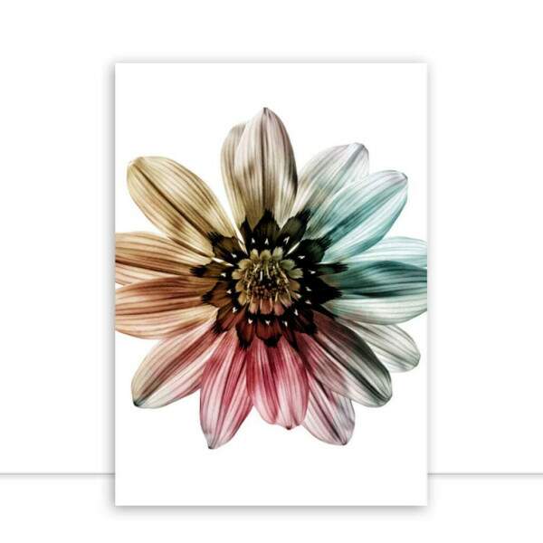 Quadro Ana AMMO Quadros Galeria de Arte Digital