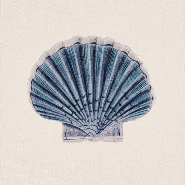 Quadro Shell 5 por Bruna Deluca