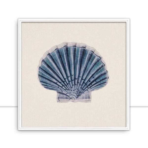 Quadro Shell 5 por Bruna Deluca