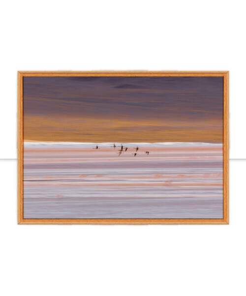 Quadro Leveza por Marcelo Baldin & Smia Munaretti