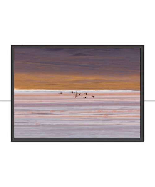 Quadro Leveza por Marcelo Baldin & Smia Munaretti
