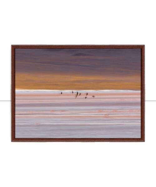 Quadro Leveza por Marcelo Baldin & Smia Munaretti