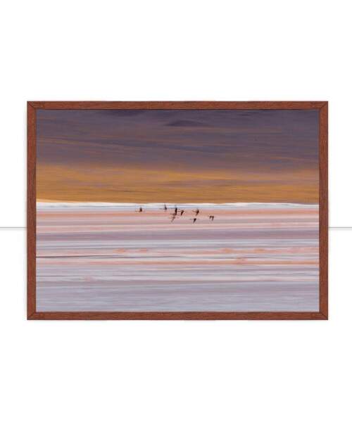 Quadro Leveza por Marcelo Baldin & Smia Munaretti
