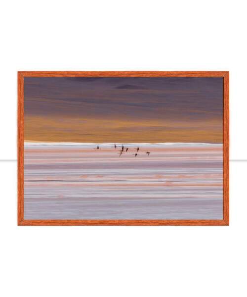 Quadro Leveza por Marcelo Baldin & Smia Munaretti