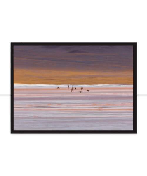Quadro Leveza por Marcelo Baldin & Smia Munaretti