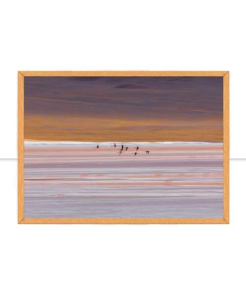 Quadro Leveza por Marcelo Baldin & Smia Munaretti