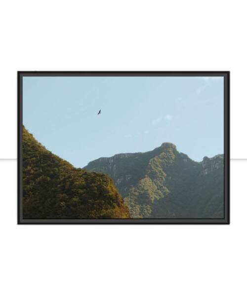 Quadro Liberdade por Rafael Campezato