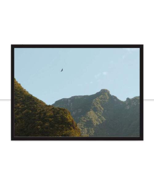 Quadro Liberdade por Rafael Campezato