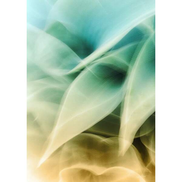 Quadro Soft Green I por Joel Santos