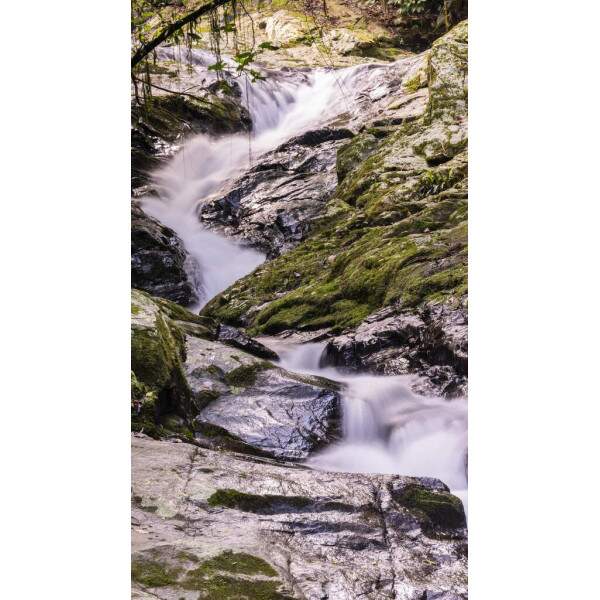 Quadro Cachoeira por Chan