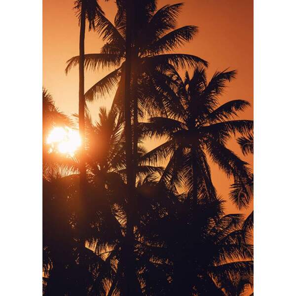 Quadro Golden Hour por Lucas Meneses