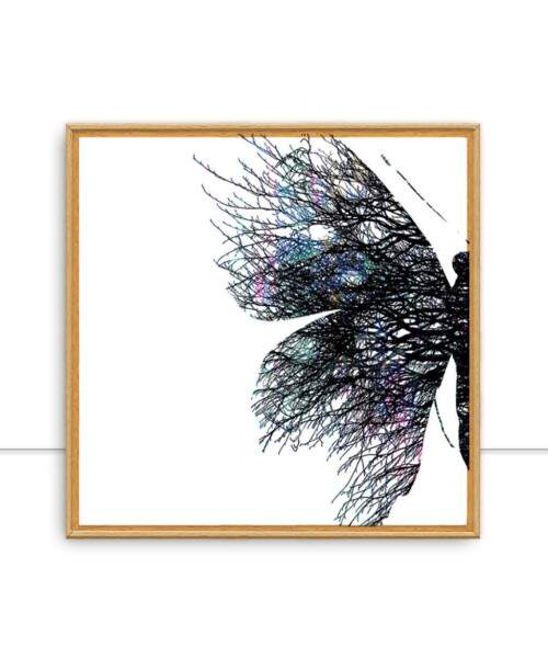 Quadro Borboleta GAL Color 01 por Patricia Costa