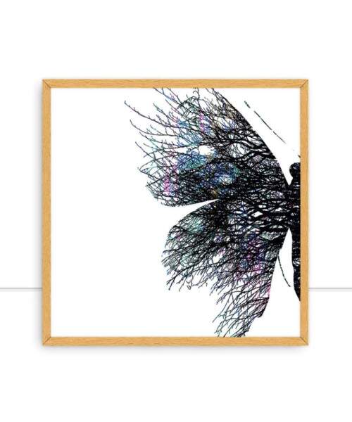 Quadro Borboleta GAL Color 01 por Patricia Costa