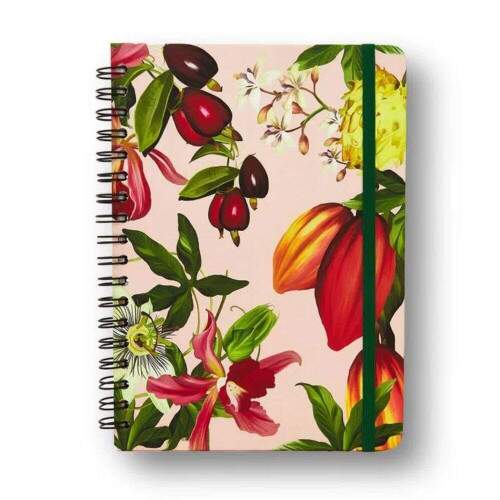 Caderno Colegial Cicero Frutos Cacau Pautado 17x24