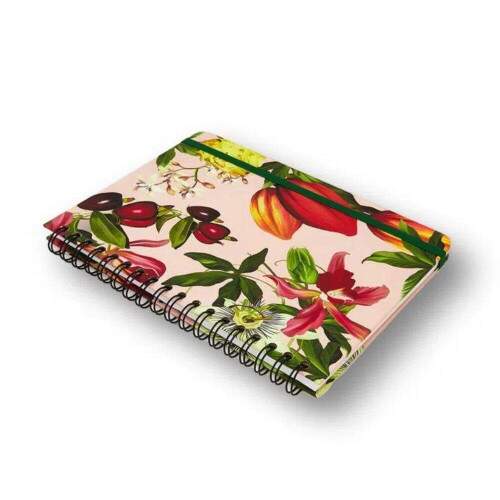 Caderno Colegial Cicero Frutos Cacau Pautado 17x24