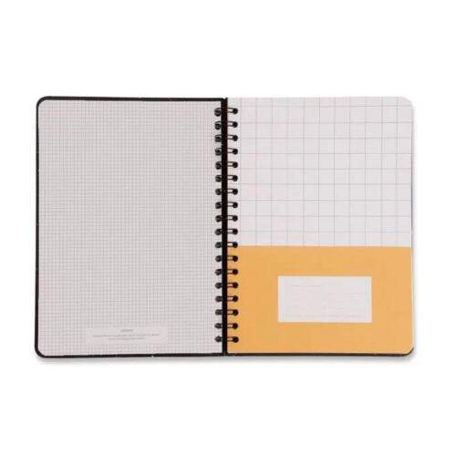 Caderno Colegial Cicero Frutos Cacau Pautado 17x24